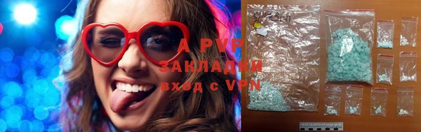 СК Алексин
