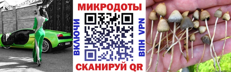 площадка формула Злынка Галлюциногенные грибы MAGIC MUSHROOMS