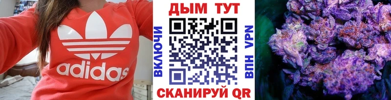 darknet наркотические препараты  hydra зеркало  Шишки марихуана OG Kush  Злынка  сколько стоит 